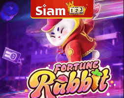 rabbit fortune demo ícone